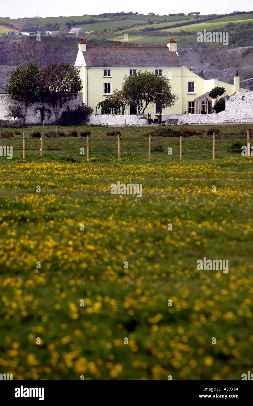 Hurst House Hotel vicino a Laugharne in Dyfed Galles posseduto dalla televisione Attore Neil Morrissey Foto Stock