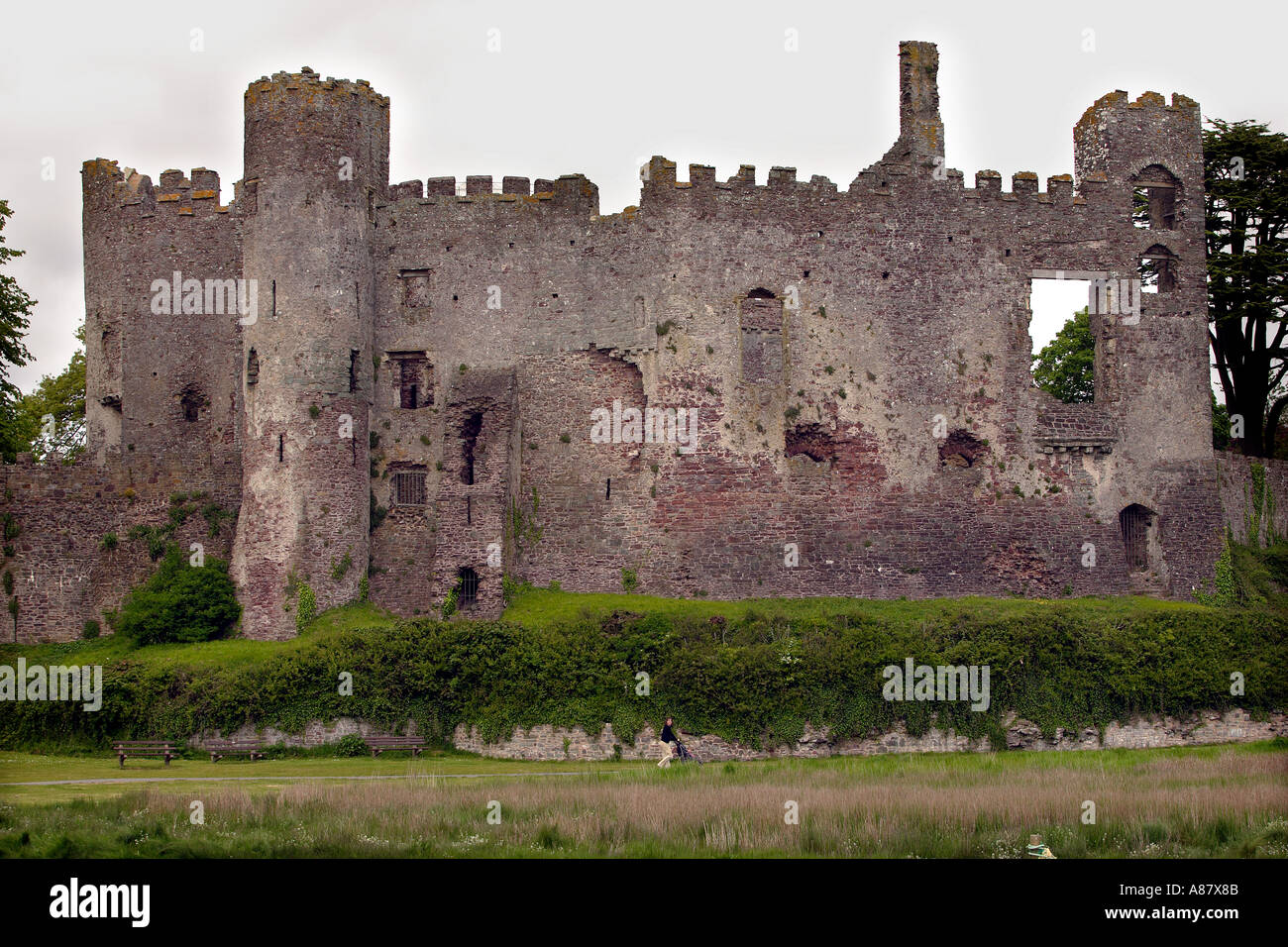 Laugharne Castle Dyfed Galles, Regno Unito Foto Stock