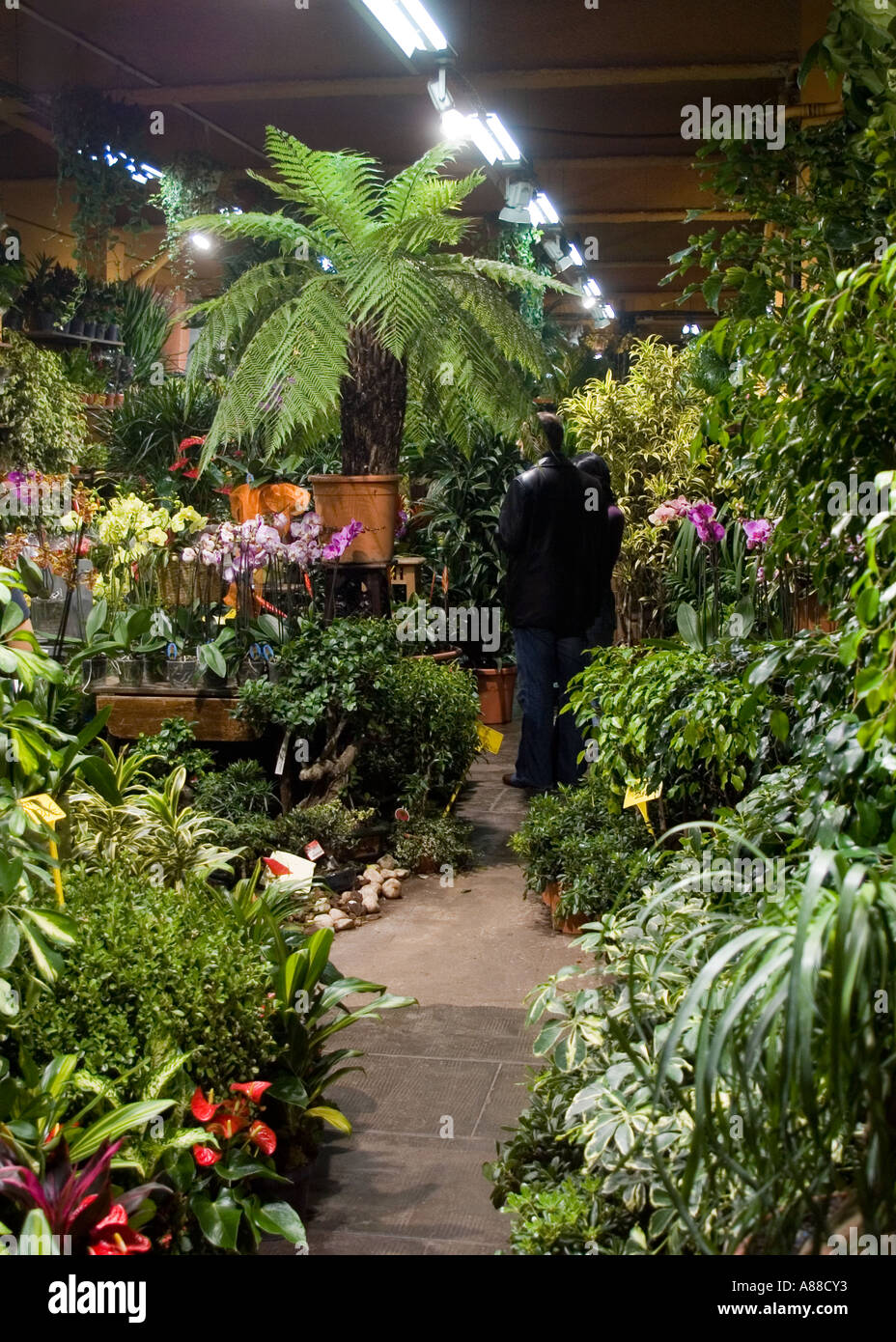 Mercat de la Concepcio 24 ore di mercato dei fiori a Barcellona Spagna Foto Stock