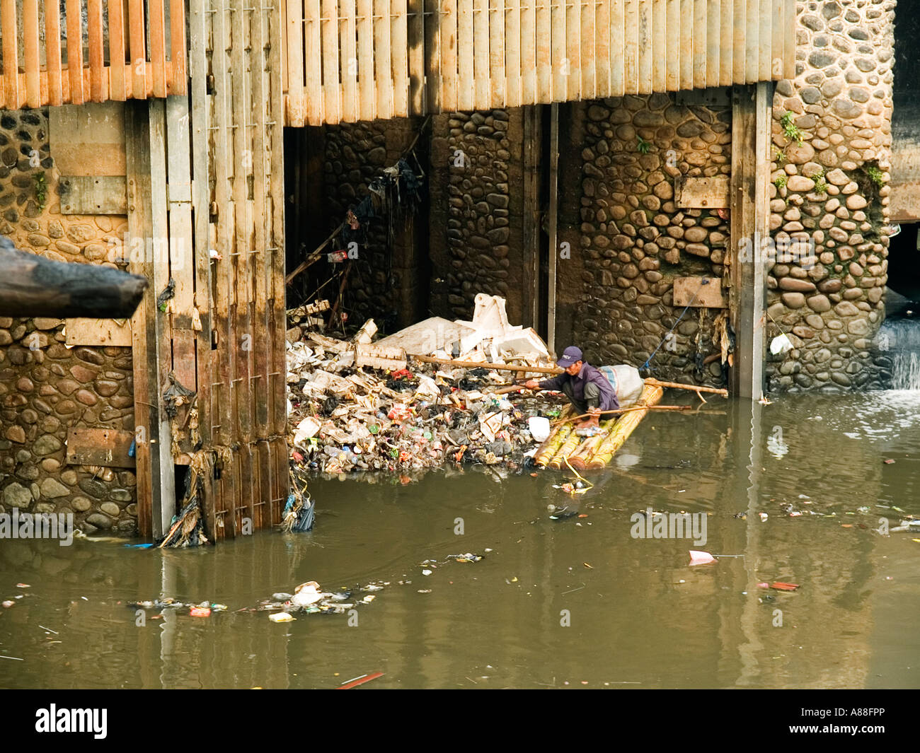 Locali di scavenging del uomo tra floating pila di spazzatura in via navigabile inquinato,Jakarta,Java,Indonesia Foto Stock