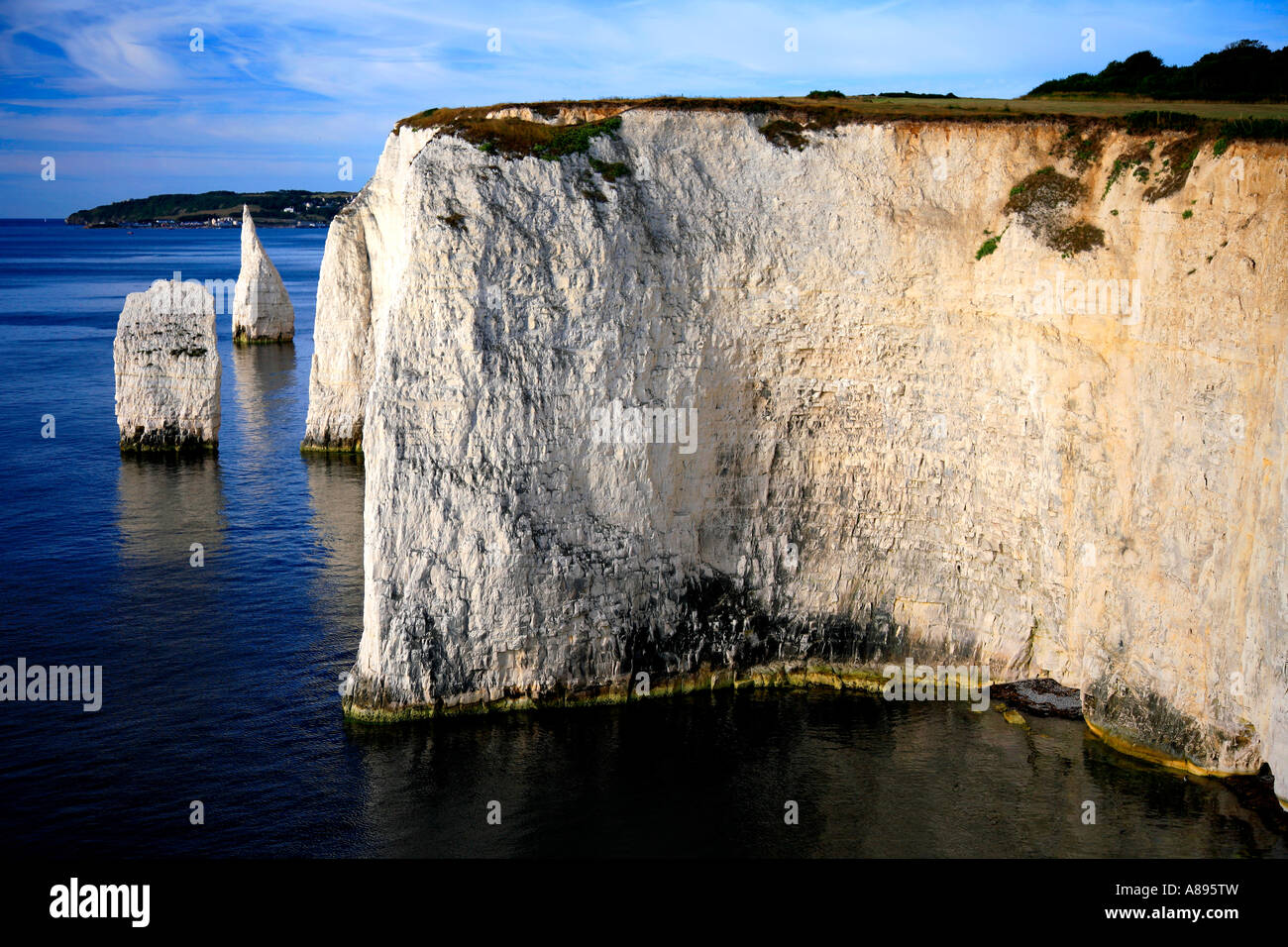 I Pinnacoli mare pile Swanage Bay Jurassic Coast Inghilterra Dorset Regno Unito Regno Unito Foto Stock