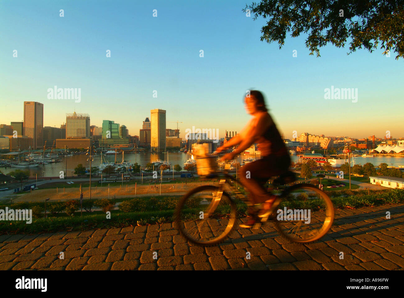 Stati Uniti Maryland Baltimore un ciclista viaggia lungo un percorso in collina federale parco affacciato sulla skyline di Baltimore Foto Stock