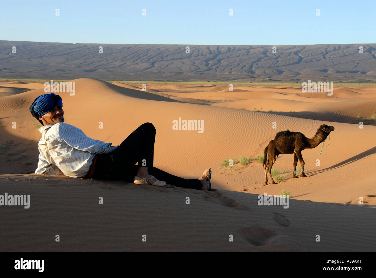 Il Tuareg risiede nel sanddune con cammello vicino a Mhamid Marocco Foto Stock