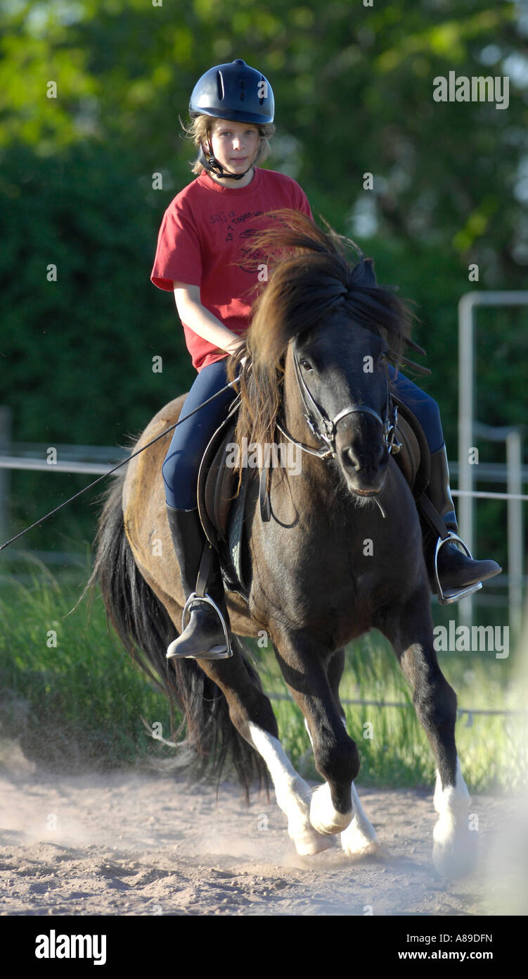 Ragazza sul cavallo islandese Foto Stock