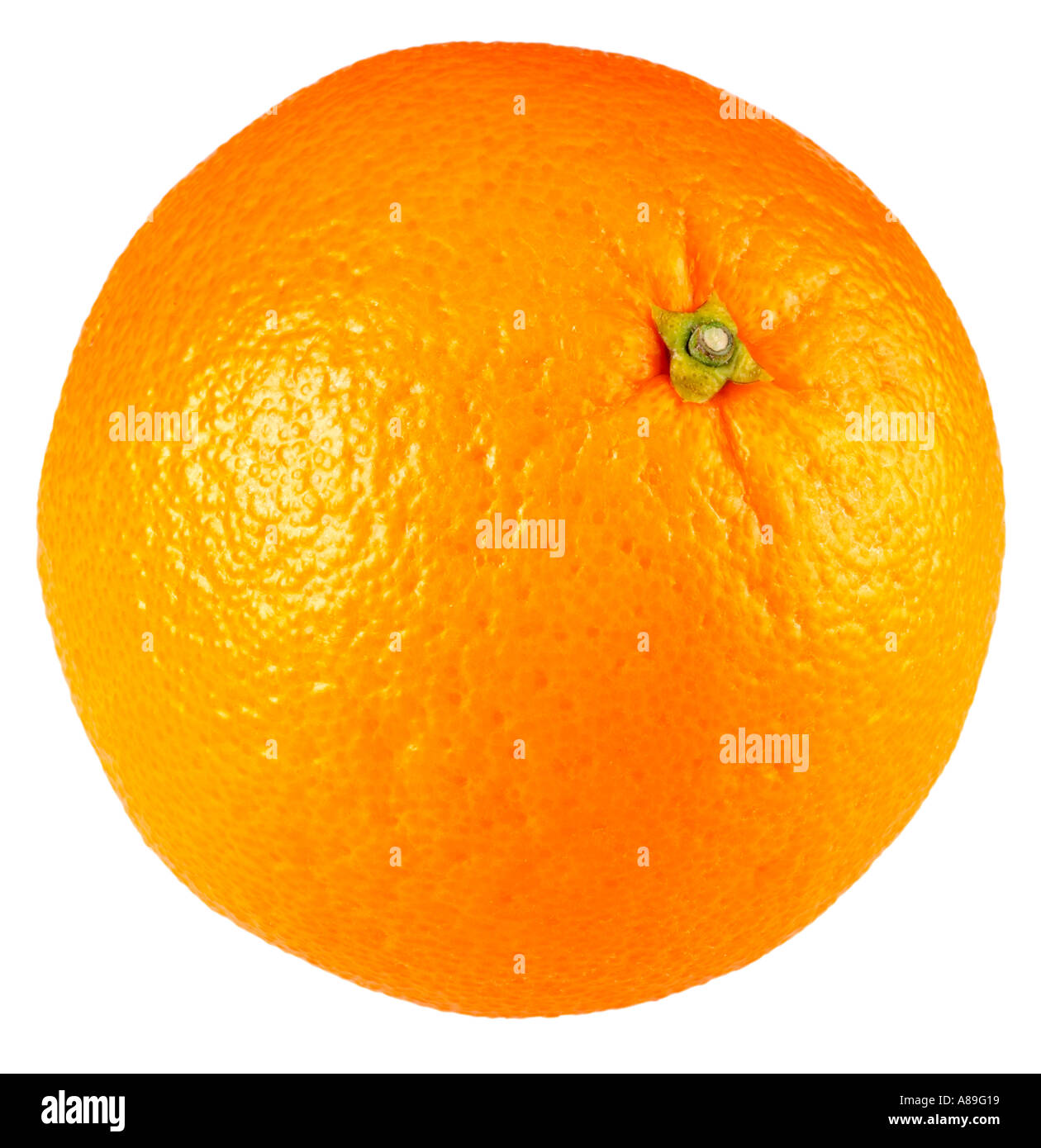 Tutta arancione su sfondo bianco Foto Stock