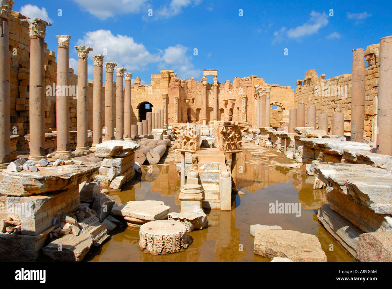 Ampio spazio con acqua Severan basilica di Leptis Magna Libia Foto Stock