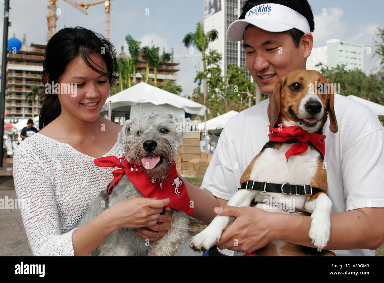 Miami Florida, Bayfront Park, a piedi per gli animali, società umana, coppia asiatica, cani, Schnauzer, beagle, visitatori viaggio di viaggio turistico terra turismo Foto Stock