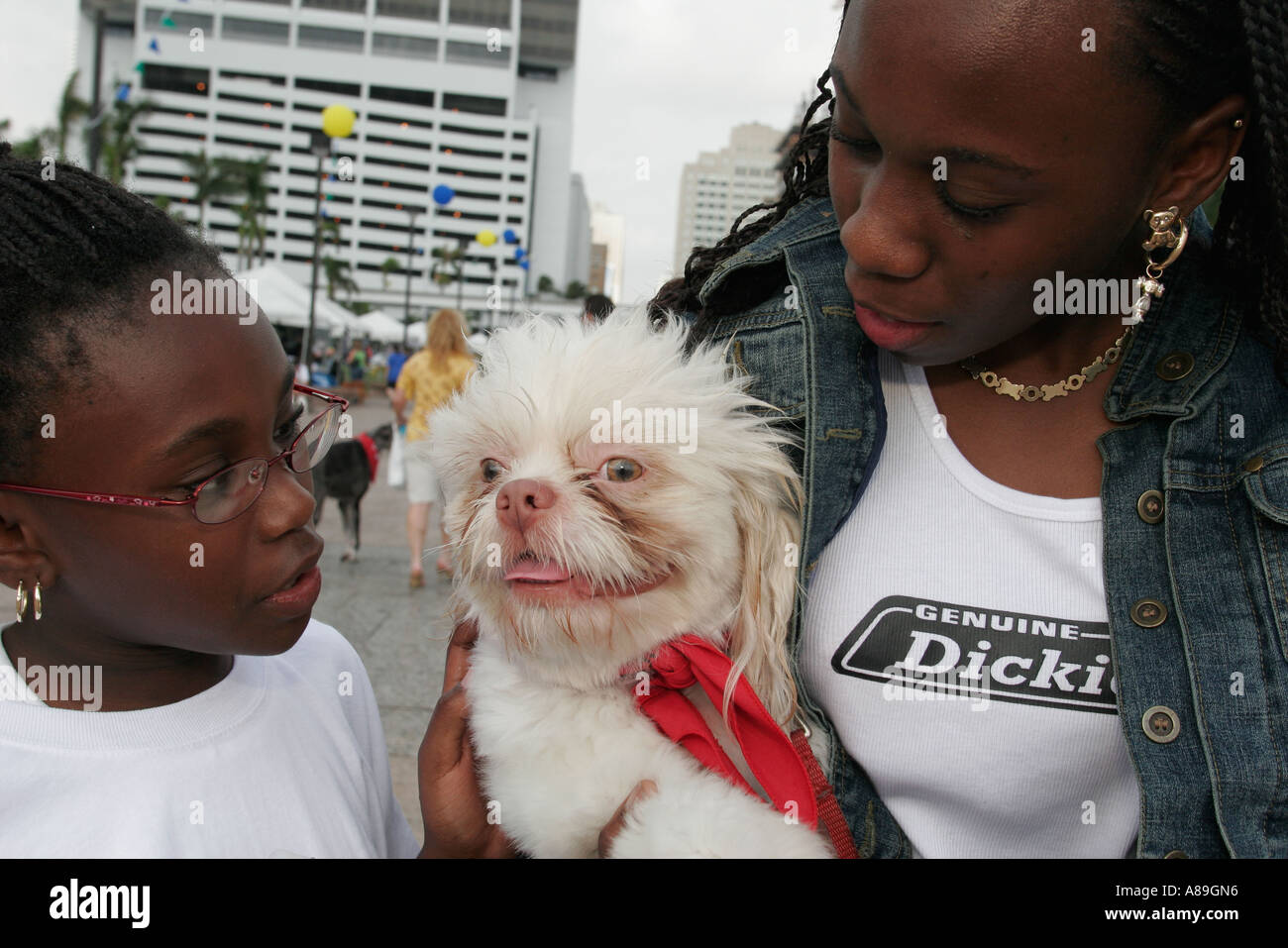 Miami Florida,Bayfront Park,camminate per gli animali,Humane Society,Black Blacks African Africanans etnia minoritaria,ragazze ragazze,ragazzi giovani Yo Foto Stock