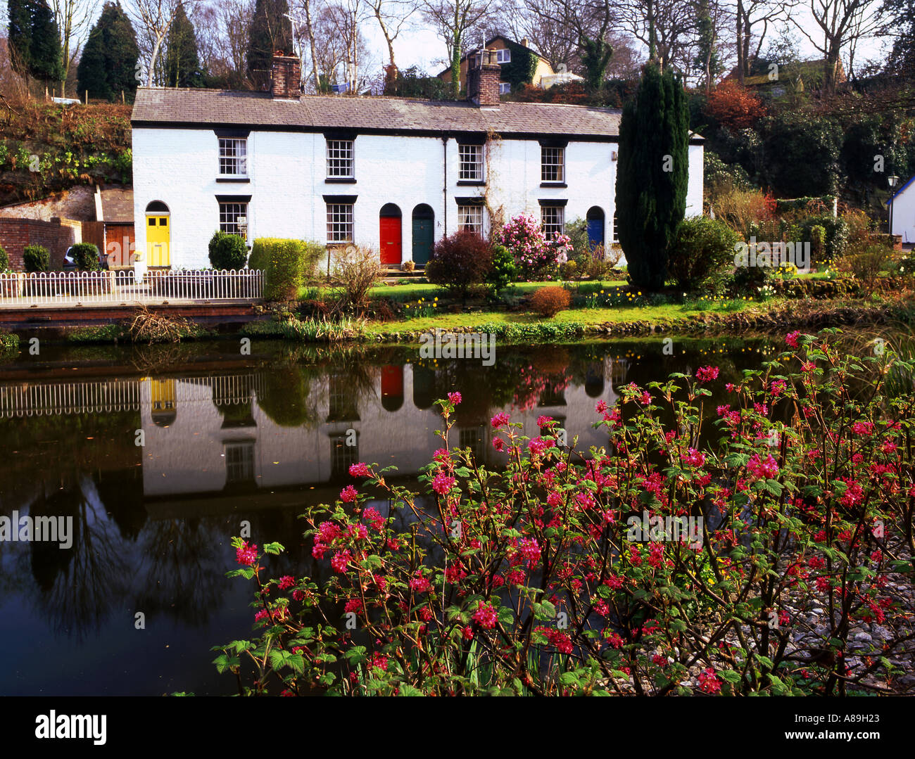 Cottage Grove Dell Lymm Cheshire England Regno Unito Foto Stock