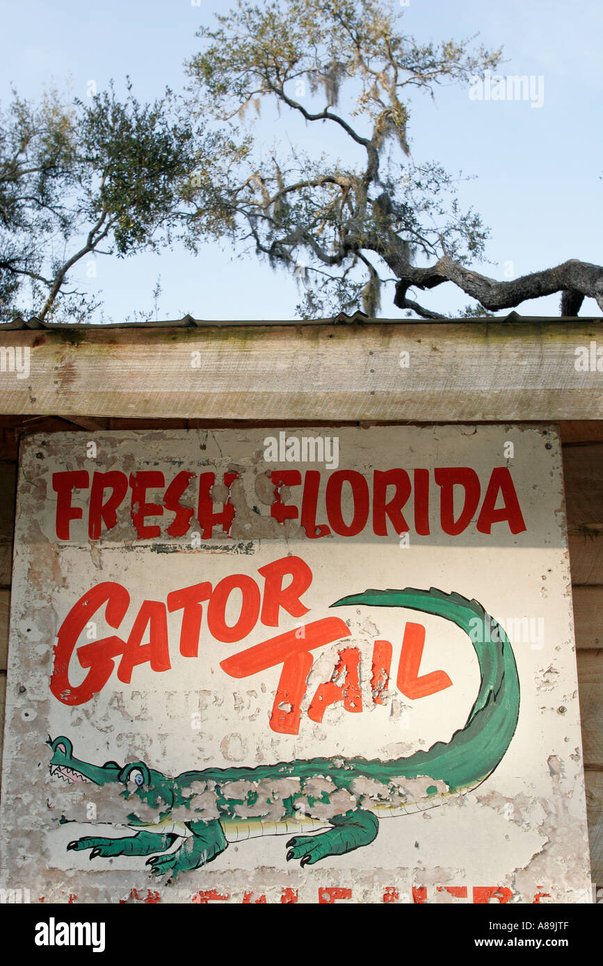Lake Wales Florida, Camp Mack River Water Resort, cartello, logo, fresco Florida Gator Tail, visitatori viaggio viaggio turistico turismo luoghi di riferimento c Foto Stock