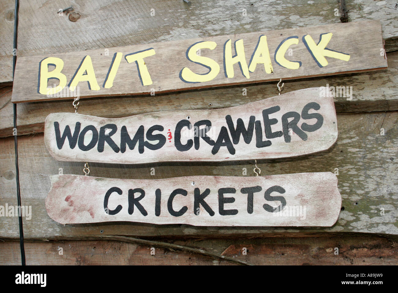 Lake Wales Florida, Kissimmee River Water Camp Mack River Water Resort, cartello, logo, bait shack, vermi, crawlers, crickets, tour turistico visitatori Foto Stock