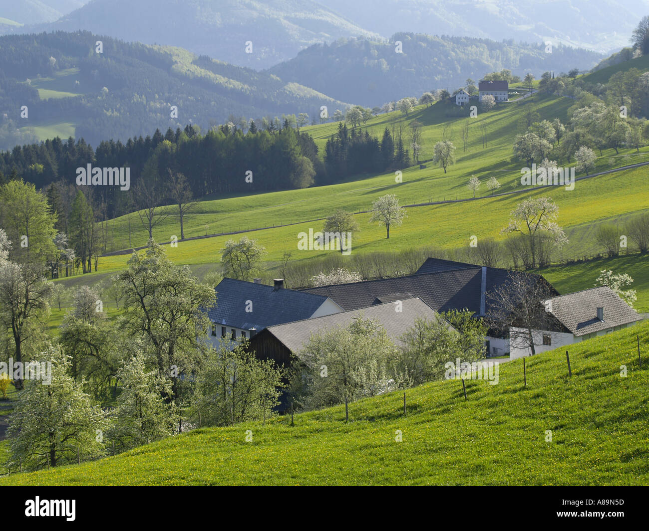 Vista del paese collinare Foto Stock