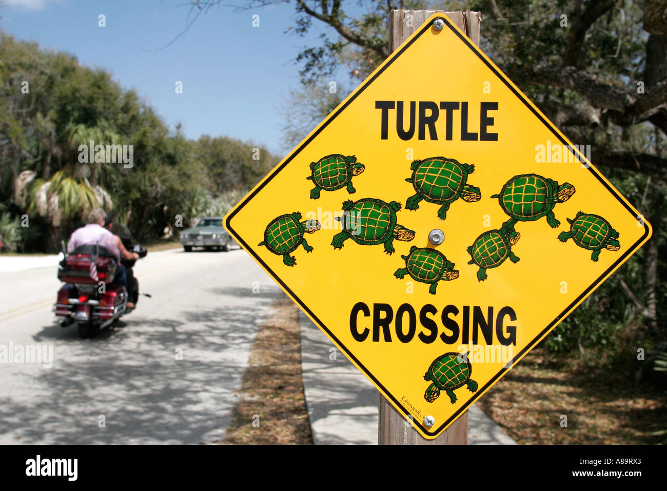 Daytona Beach Florida, Ponce Inlet Water, cartello, logo, Turtle Crossing, visitatori viaggio viaggio turismo turistico punto di riferimento cultura culturale, v Foto Stock