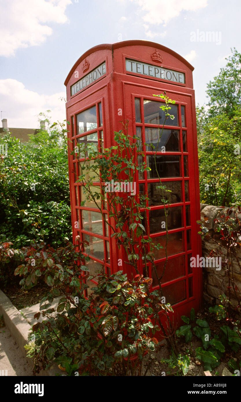 La comunicazione K6 casella telefono tra piante di rose in giardino Foto Stock