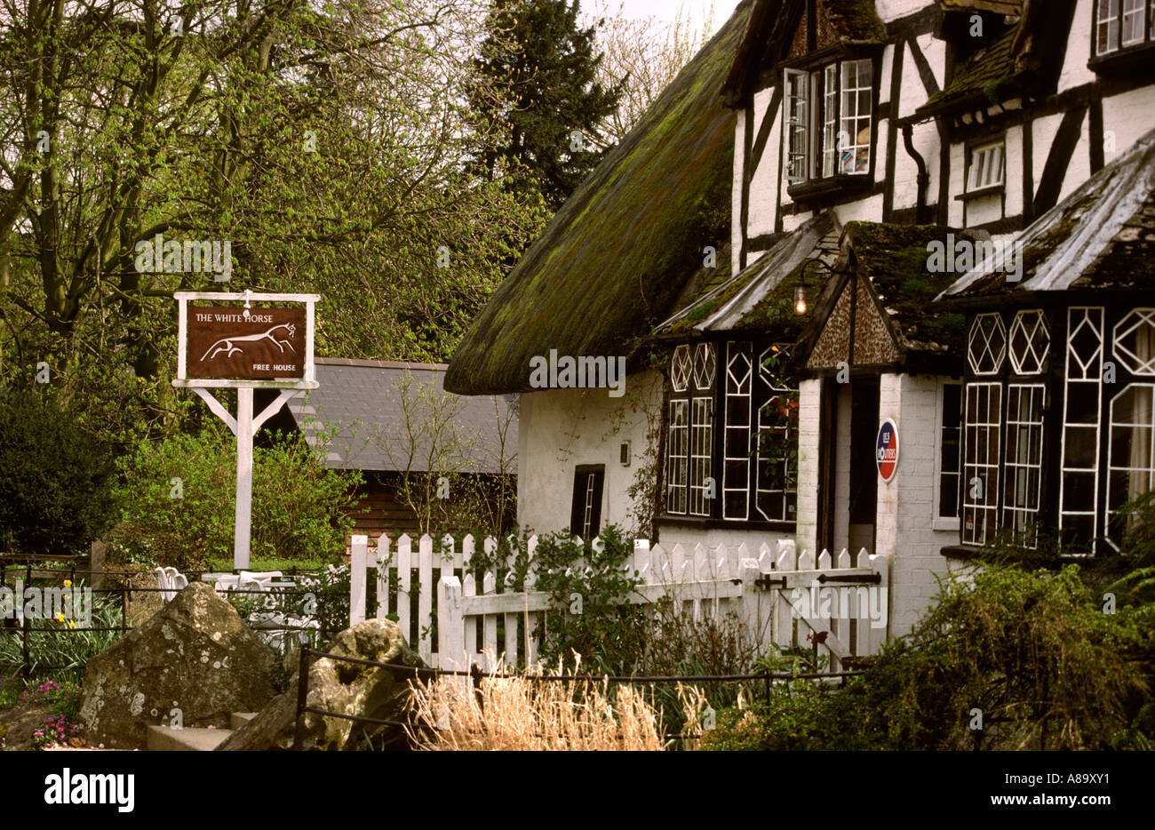 Berkshire Woolstone il cavallo bianco con tetto di paglia di pub Foto Stock