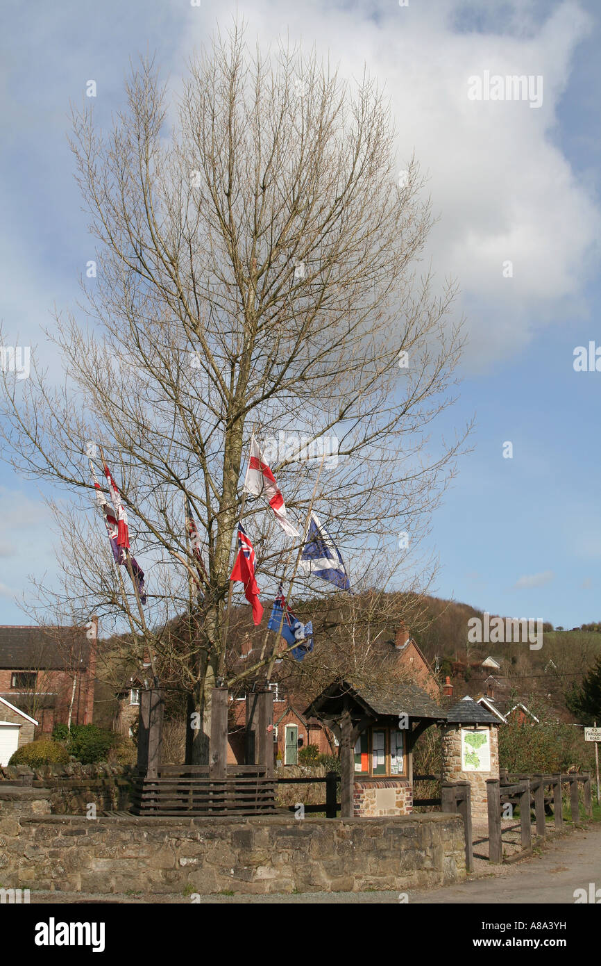 Arbor Tree vestito con le bandiere al Aston on Clun, Shropshire Foto Stock