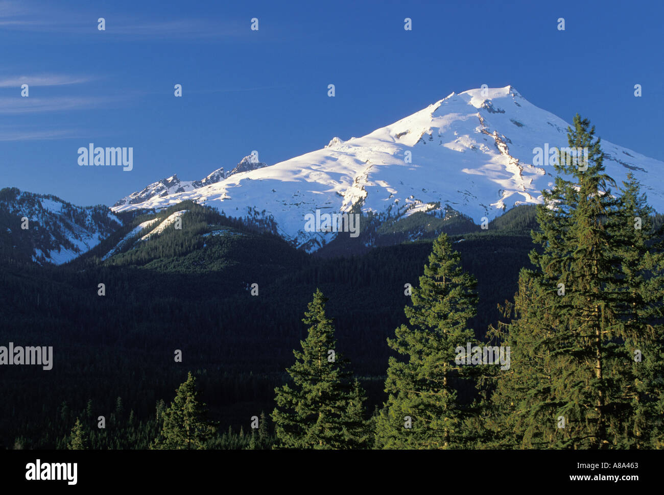 Mt Baker Mt Baker Snoqualmie Foresta Nazionale di Washington Foto Stock