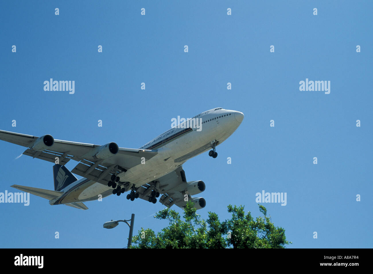 Boeing 747 400 jumbo jet volare basso e lenta sopra gli alberi su approccio finale in atterraggio a LAX Int l Aeroporto di Los Angeles in California Foto Stock