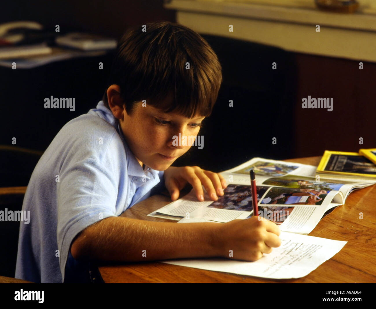 Un primario scolaro con compiti in Australia Foto Stock