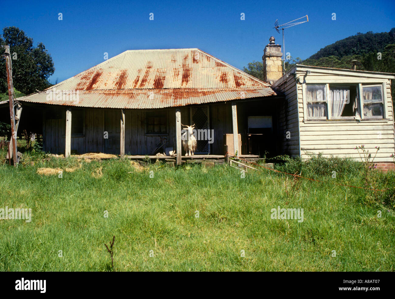Un fatiscente cottage con caprino e televisione satellitare Foto Stock