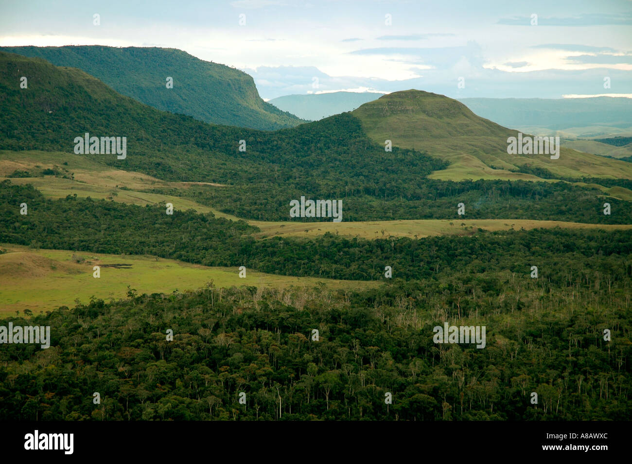 Un velley di pianura, foresta e distante tepuis visto dal Kavanayén in Venezuela la Gran Sabana Foto Stock