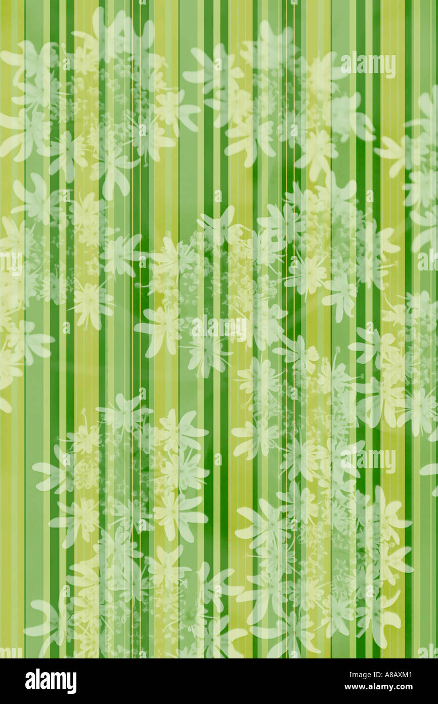 Illustrate la flora e strisce "sfondo" pattern Foto Stock