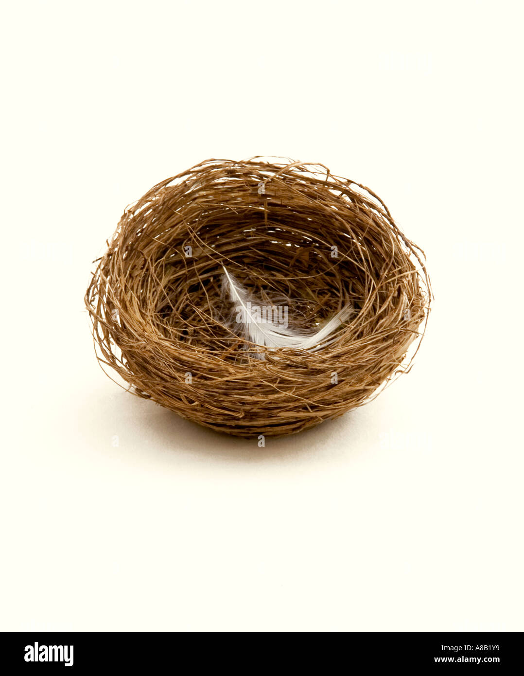 Nido vuoto con fiore bianco sparato contro uno sfondo bianco Foto Stock
