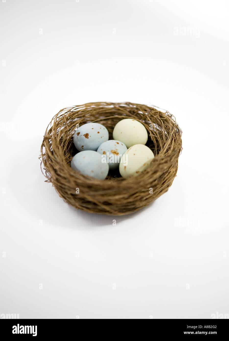 Chiazzato uova shot in un nido contro uno sfondo bianco Foto Stock