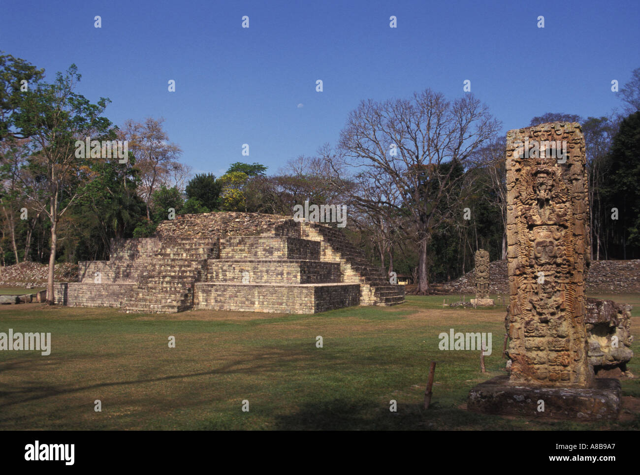 Honduras Copan Gran Plaza tempio IV Foto Stock