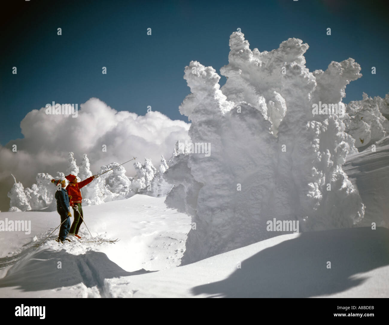 Due gli sciatori in un paese delle meraviglie invernale di neve e ghiaccio Foto Stock