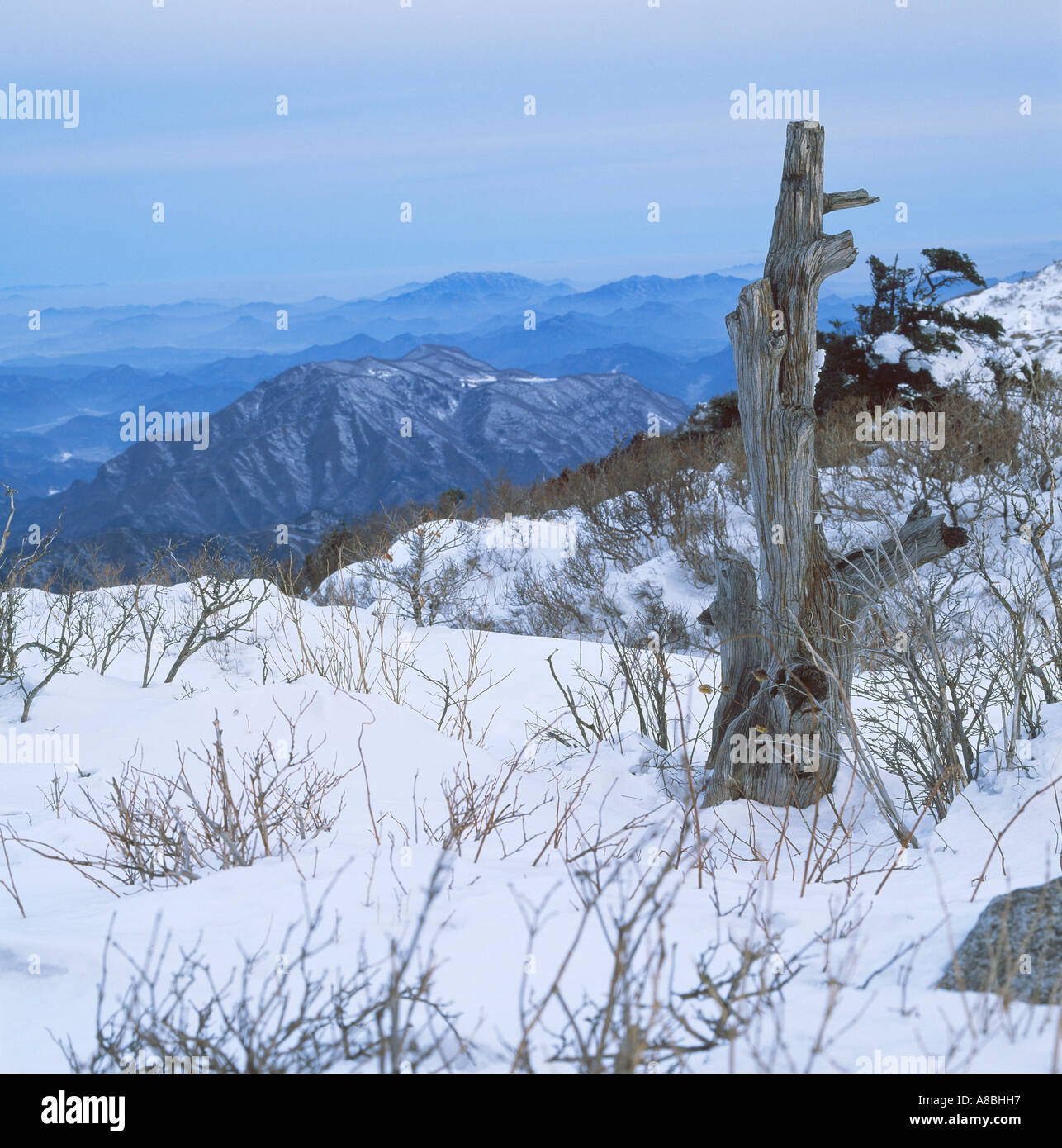 Neve invernale scena di mountain top Foto Stock
