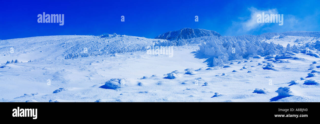 Jeju Island coperta di neve hill Foto Stock