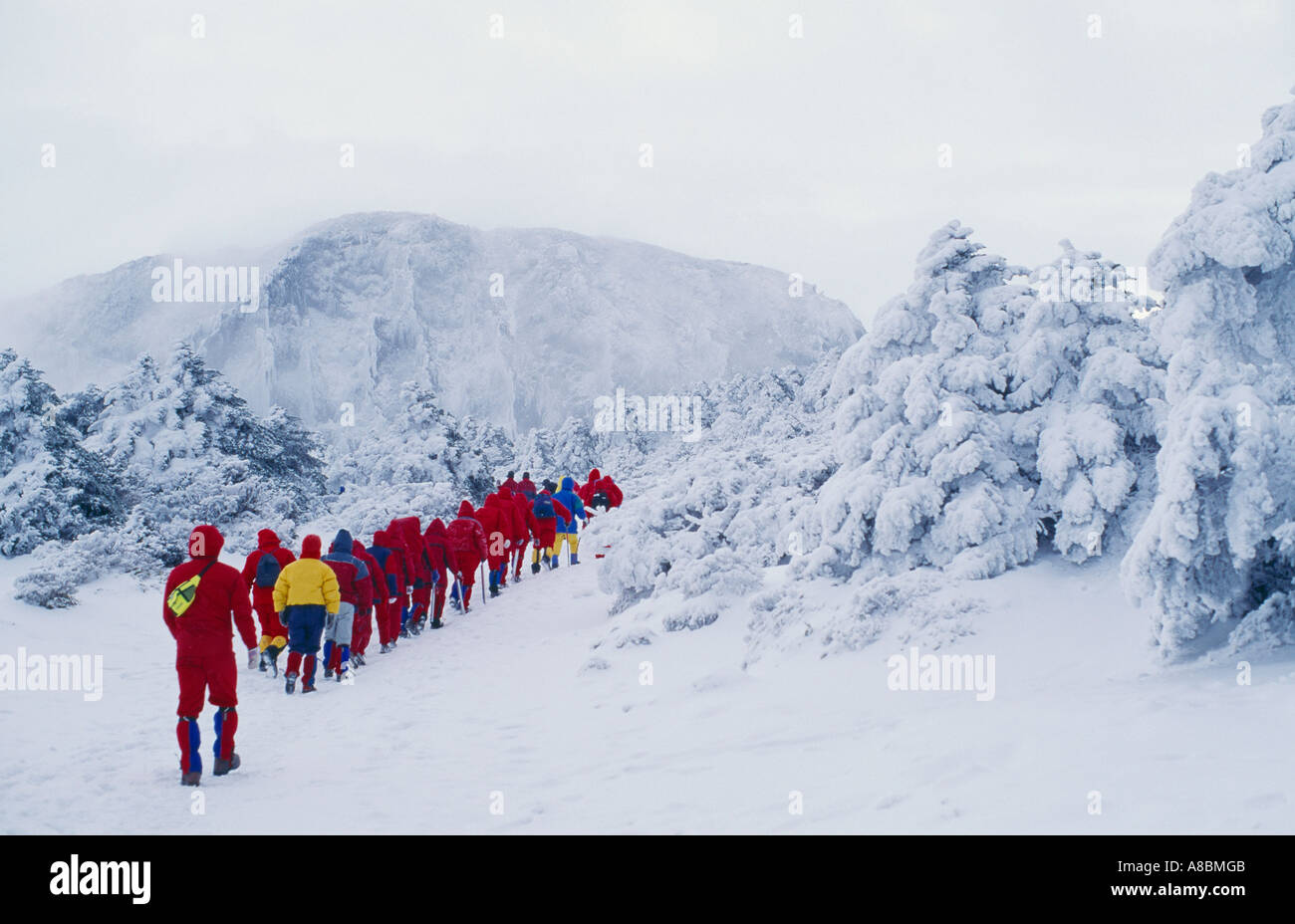 Jeju Island gli alpinisti al Hanla inverno in montagna Foto Stock