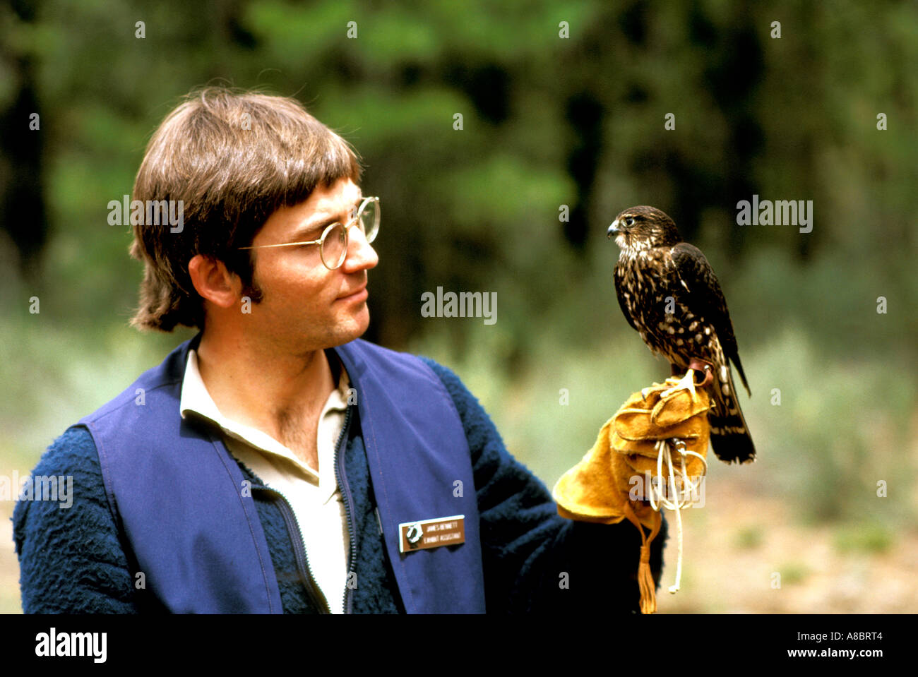 Curvatura Oregon High Desert Museum rapace handler Foto Stock