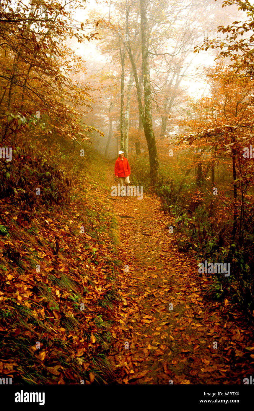 TN Great Smoky Mountains Park escursionista Escursionismo Appalachian Trail Tennessee Foto Stock