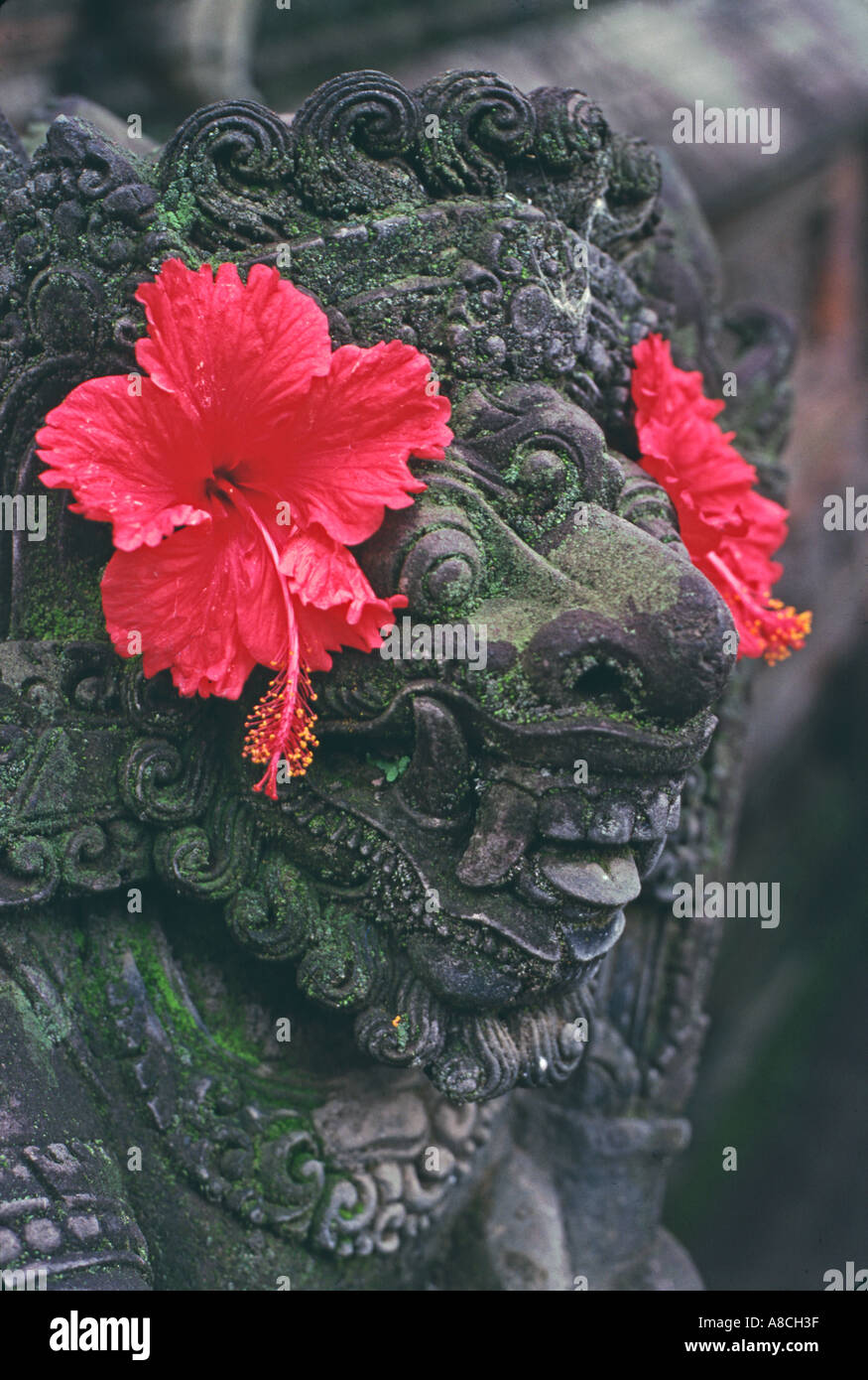 Un Balinese scultura in pietra decorata con fiori di ibisco Foto Stock Un Balinese scultura in pietra decorata con fiori di ibisco Foto Stock