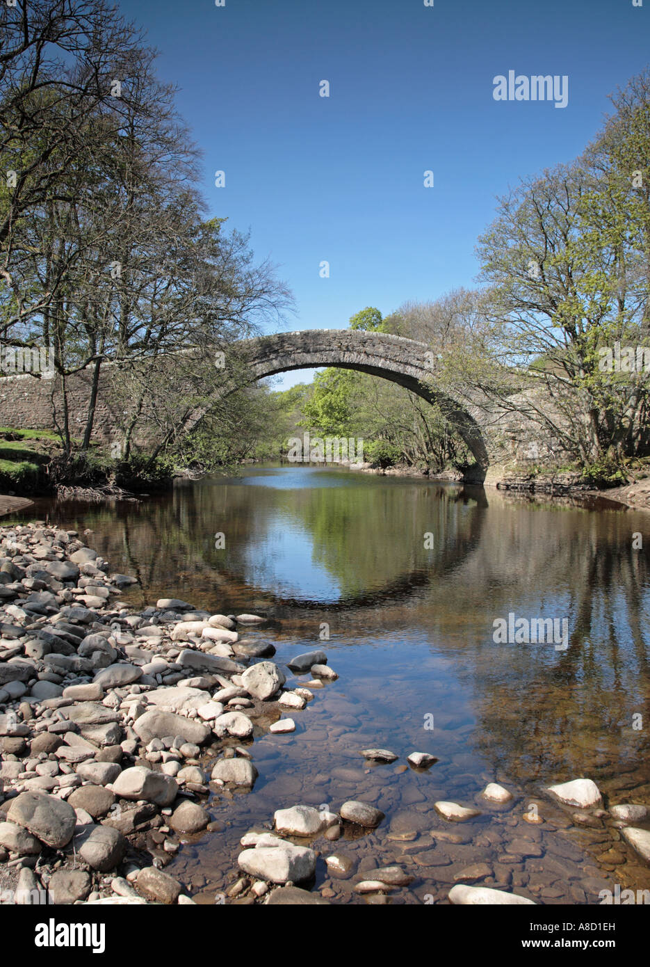 Fiume Swale, Swaledale, Yorkshire Dales , parco nazionale, Regno Unito, Europa casa di James Herriot l'autore Foto Stock