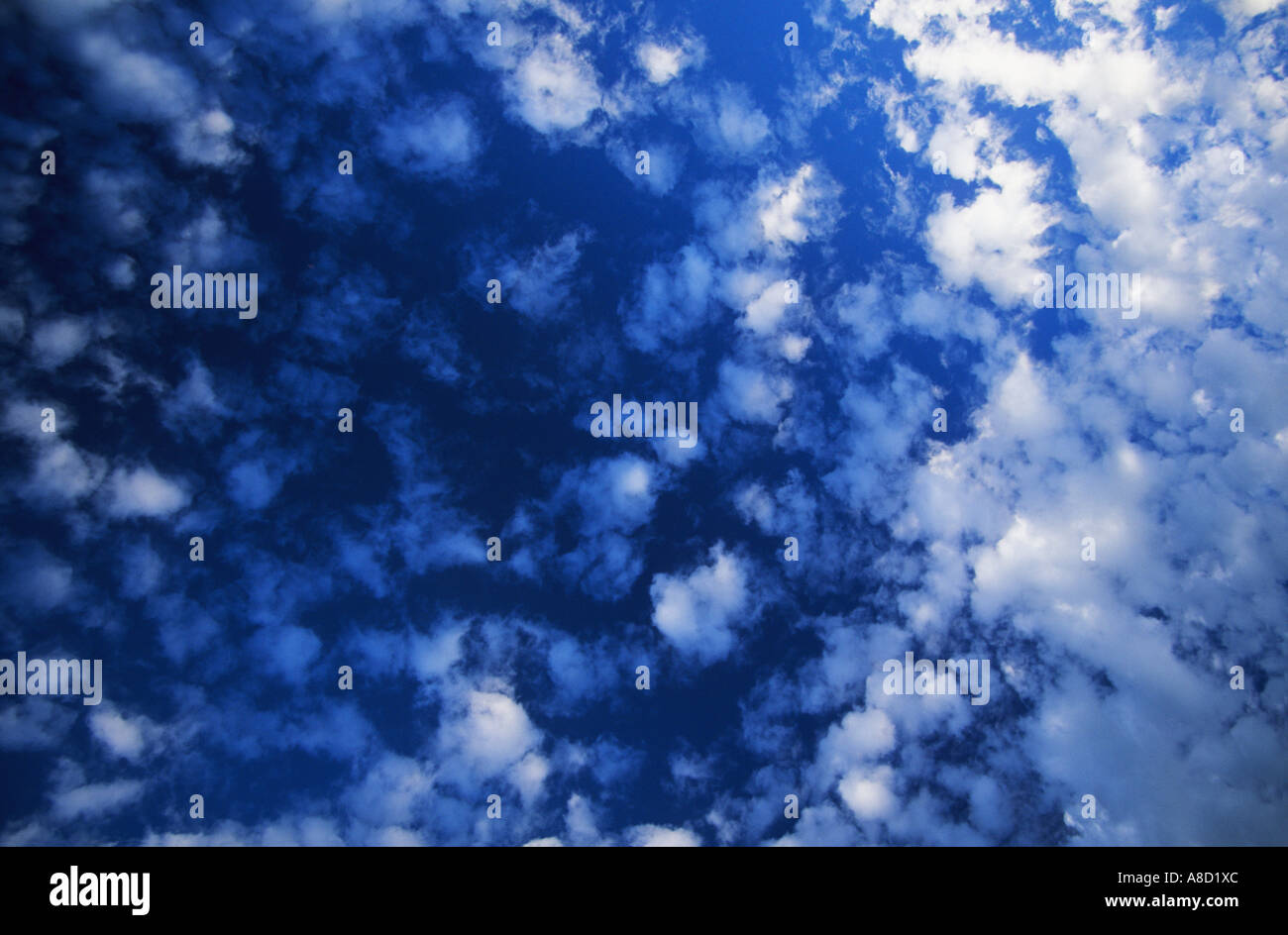 Il cielo blu con nuvole bianche grandangolari fotografia scattata in inglese giornata d'estate in Inghilterra UK GB Isole britanniche Foto Stock