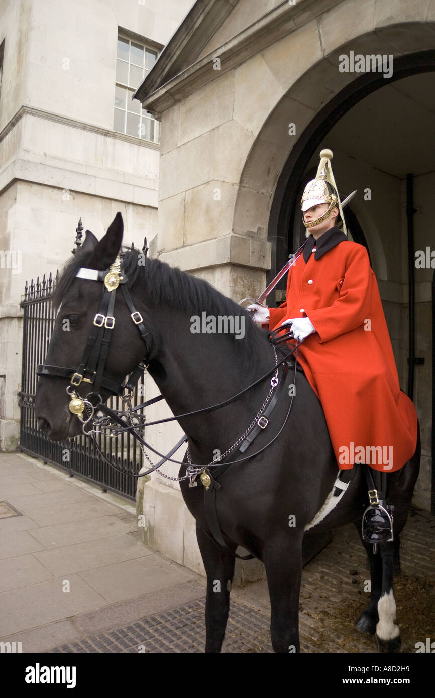 È montato un soldato di cavalleria della famiglia di guardia al Whitehall ingresso alla sfilata delle Guardie a Cavallo, Londra Foto Stock