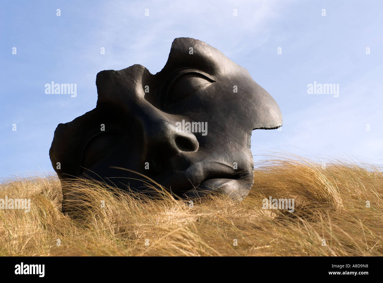 Arte moderna scultura del volto in mostra presso il Museo Beelden aan Zee in Scheveningen fuori Den Hague in Olanda Foto Stock
