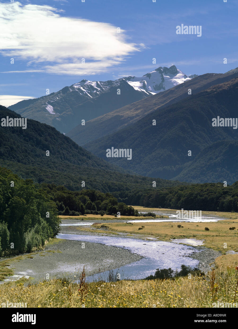 La strada a Milford Sound, Isola del Sud, Nuova Zelanda Foto Stock