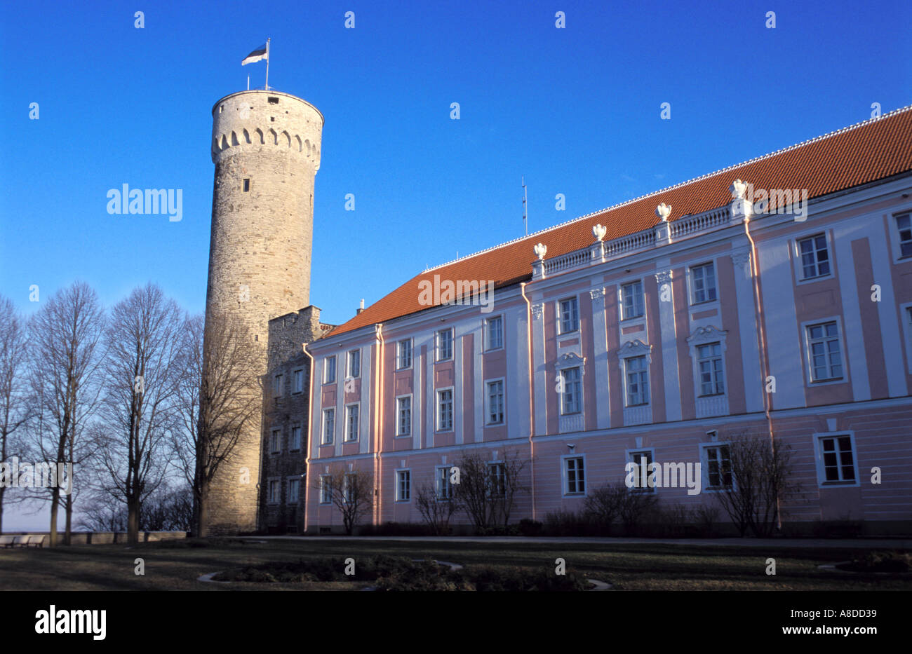 Lungo la torre Herman a Tallinn Estonia Foto Stock