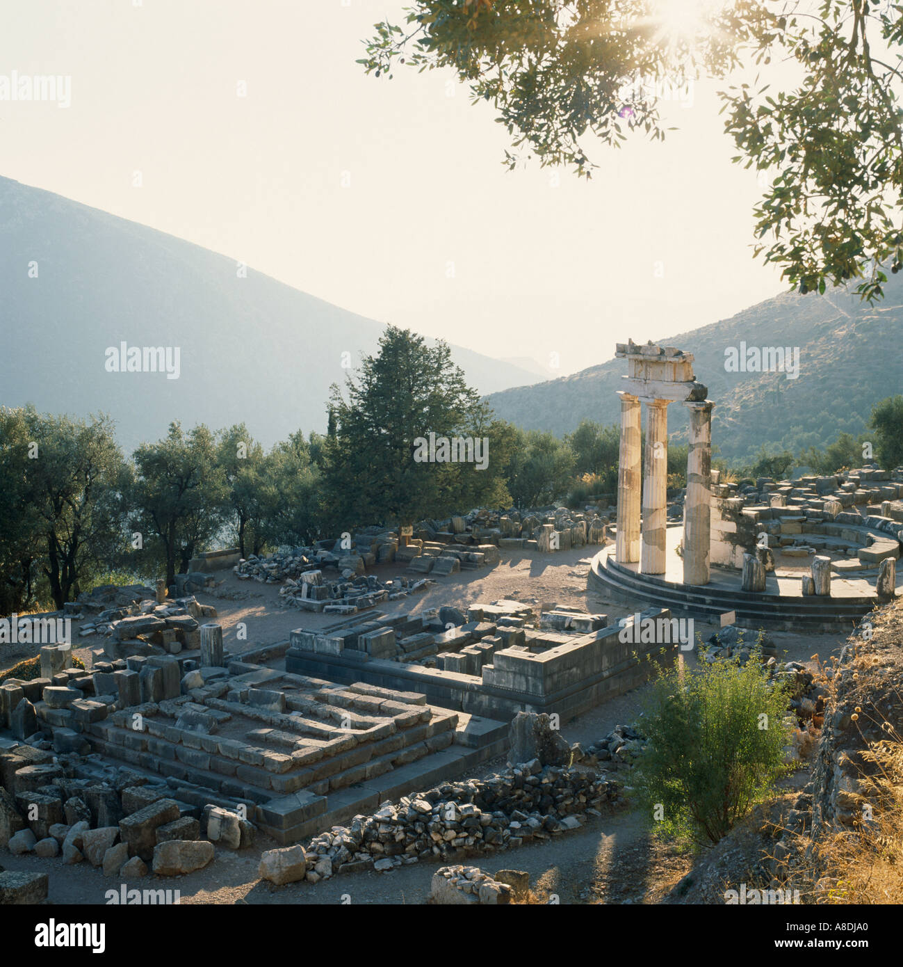 La tholos Delphi Peloponneso Grecia Hellas Foto Stock