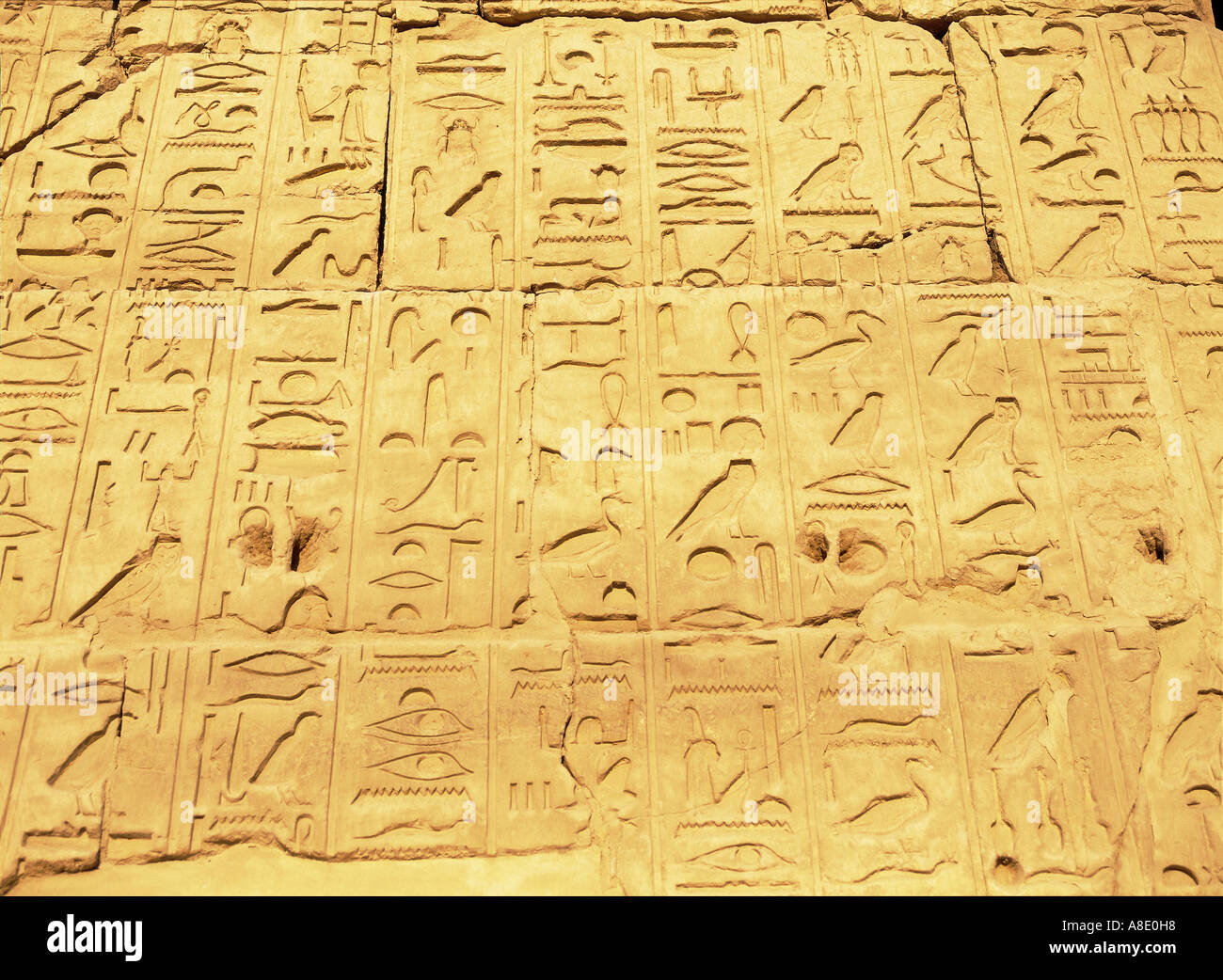 Geroglifici tempio di Amon Karnac Luxor Egitto Foto Stock