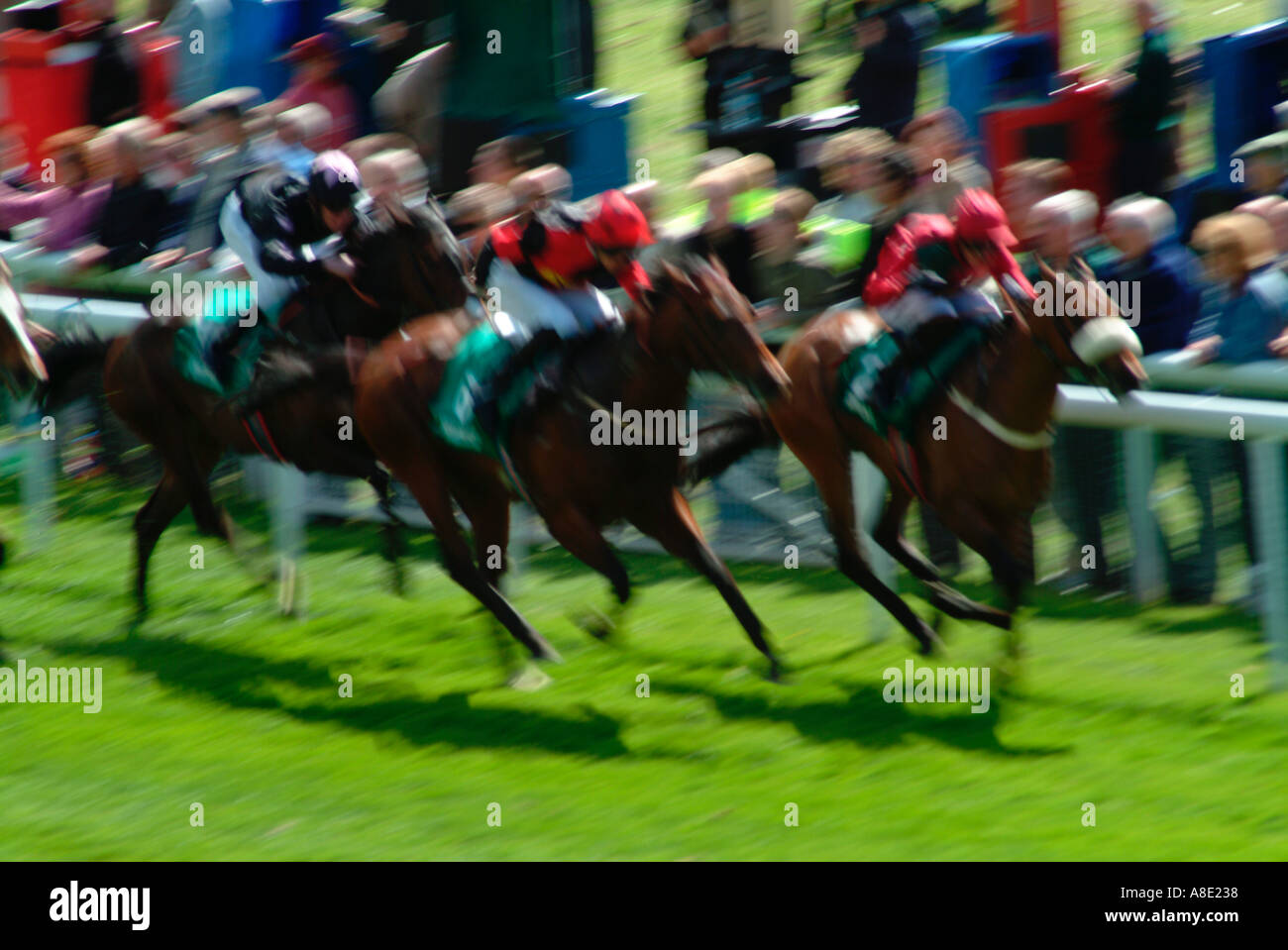 Corsa di cavalli a Chester Races Cheshire England Regno Unito Foto Stock