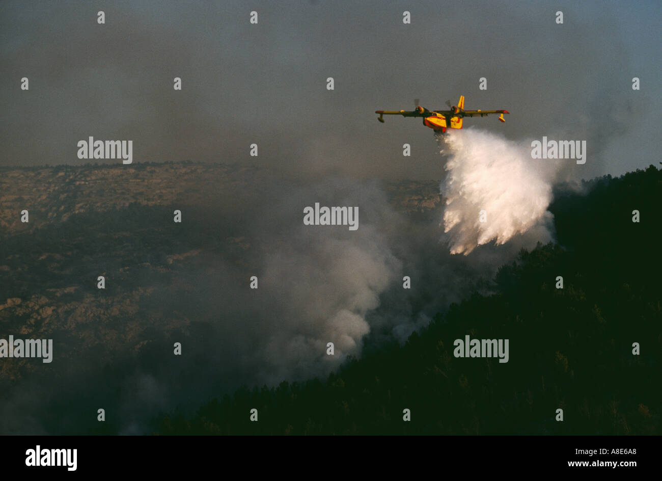 Vista aerea di un Canadair idrica antincendio aereo bombardiere spegnimento acqua su un wildfire, foresta incendio fumo, Provenza, Francia, Europa Foto Stock