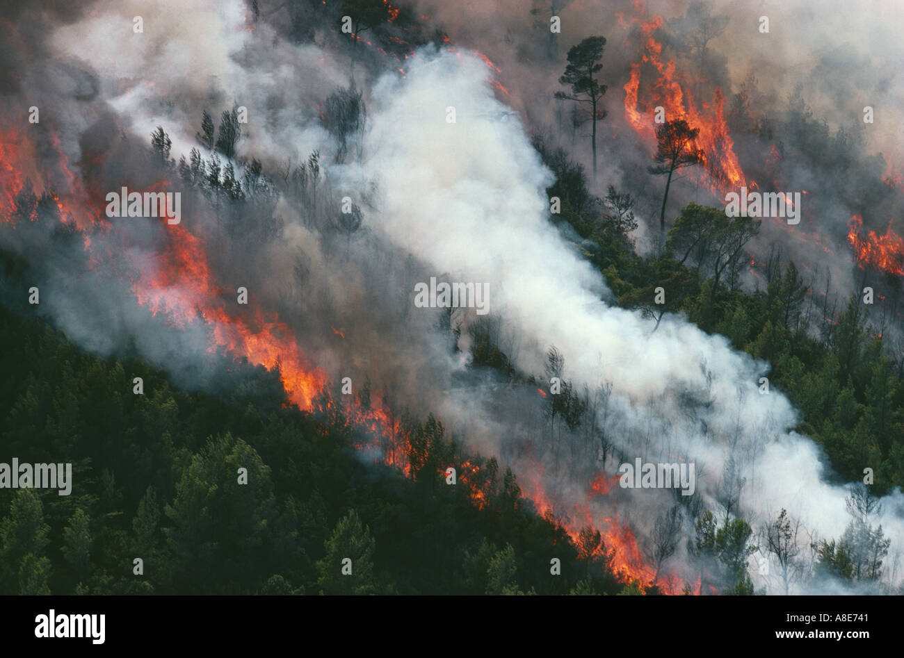 Vista aerea di un wildfire, incendio di foresta di fiamme e fumo, Bouches-du-Rhône, Provenza, Francia, Europa Foto Stock