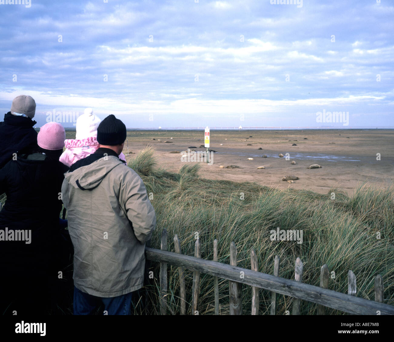 Lincolnshire coast guarnizione guardando al Donna nook costa nord-est Inghilterra REGNO UNITO Foto Stock