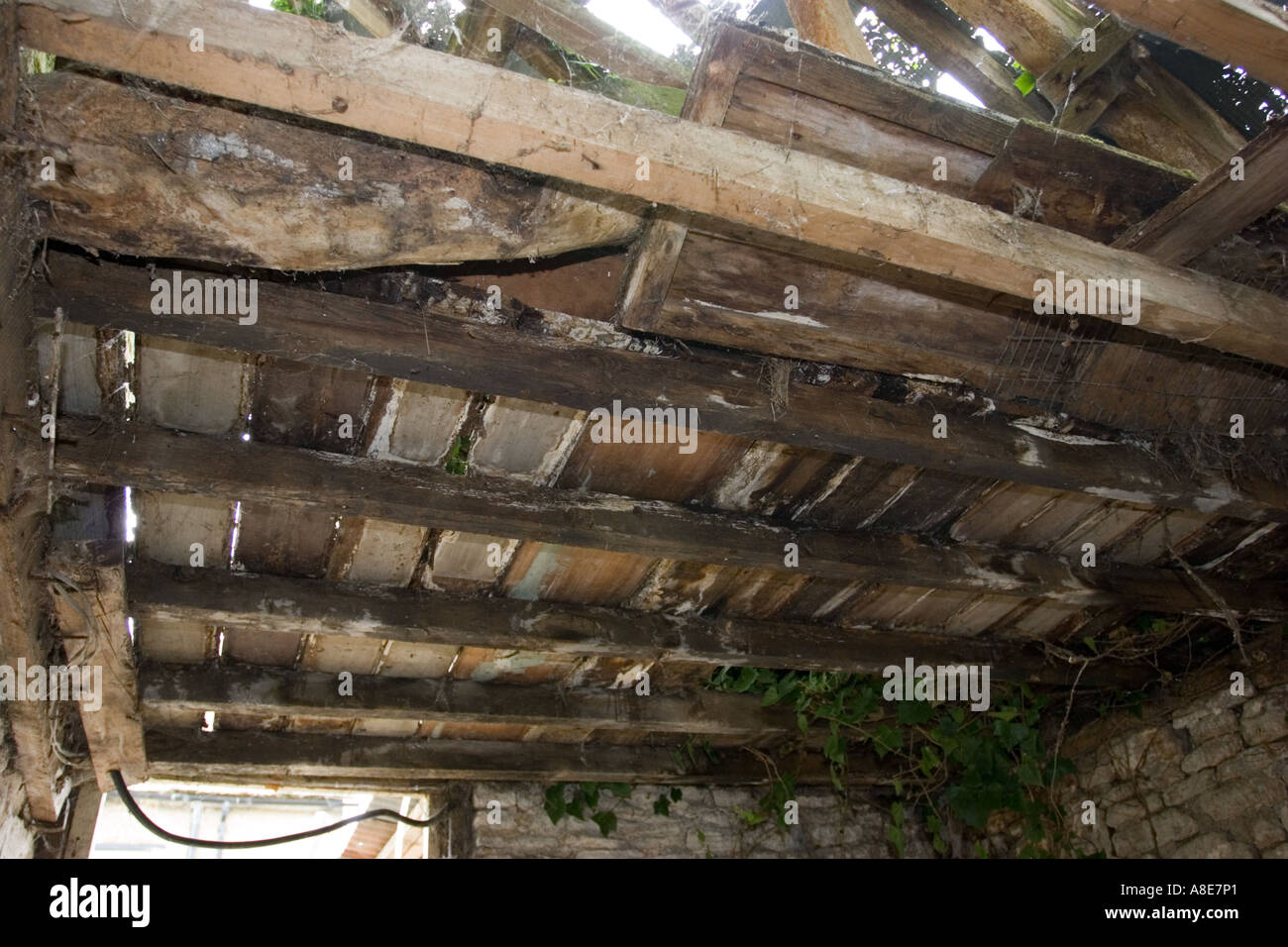 Abbandonata la struttura del tetto per essere demolito e sostituito con nuovo legname Foto Stock