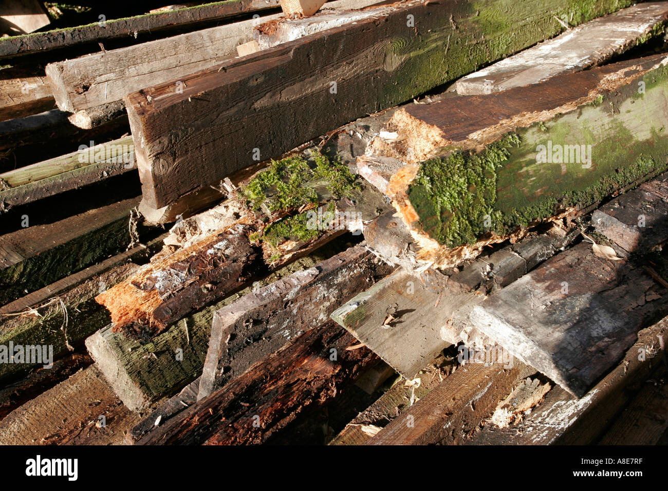 Vecchio e marcio dei blocchi di legno del tetto in attesa di smaltimento Foto Stock
